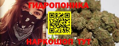 прущие грибы Партизанск