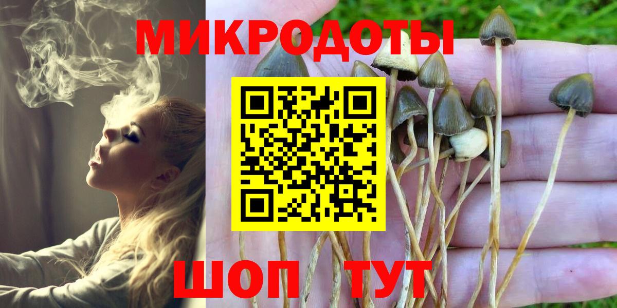 Галлюциногенные грибы GOLDEN TEACHER Рославль